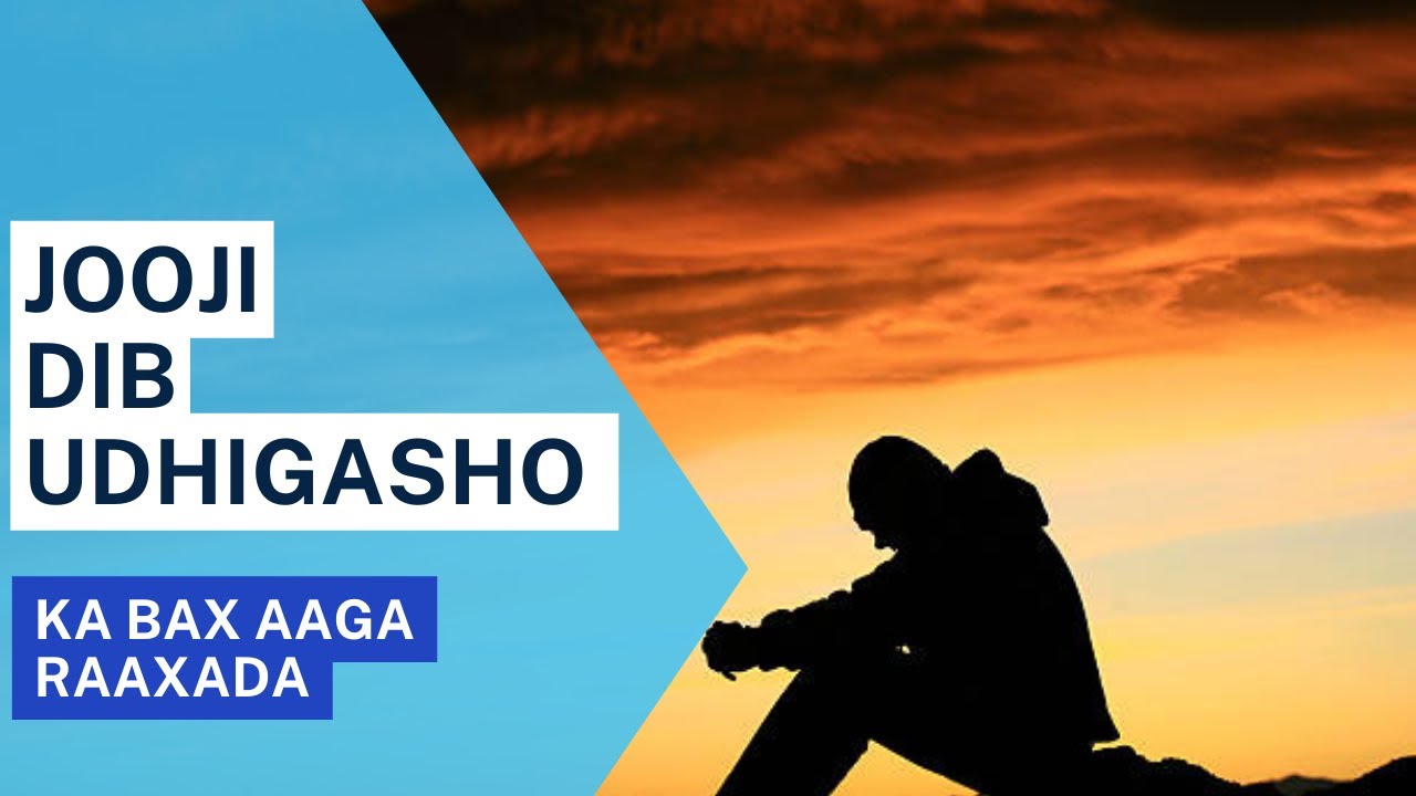 Dib udhigida hawlaha | maanta kadib masameen doontid dib udhigasho.