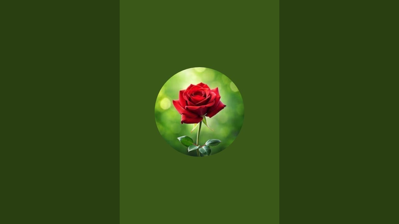 সেহরির সময় 🩷🩷হয়ে গেছে উঠে পড়ুন 🥰