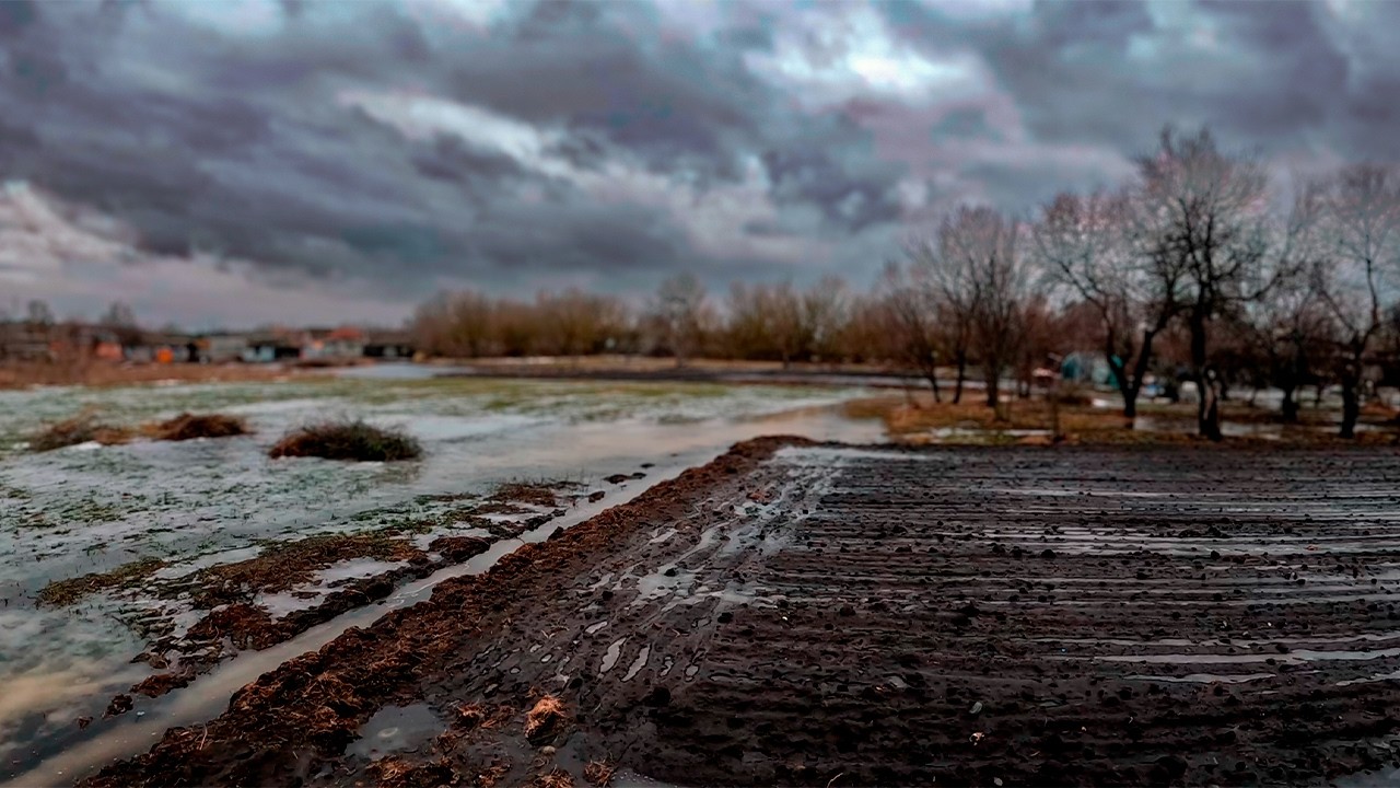 Оттепель в мороз - Покусала собака