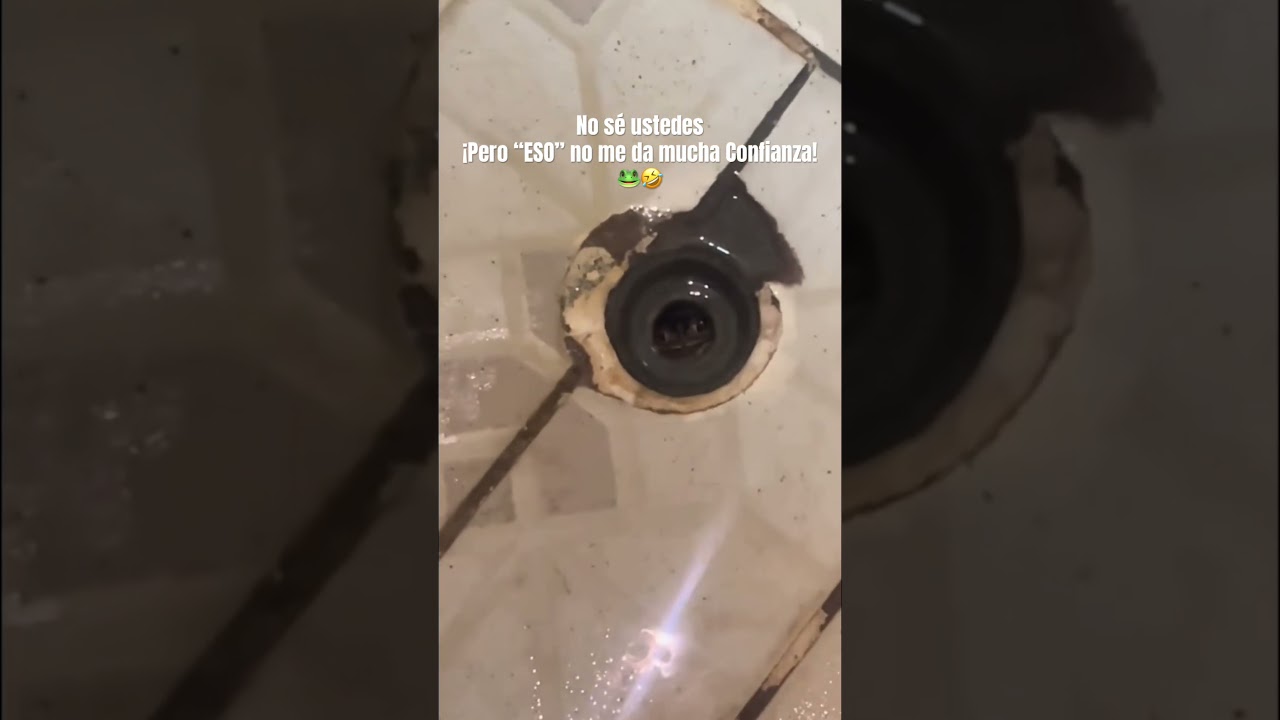 Cuando encuentras a Rannywise en tu ba&ntilde;o 🐸🤣 #viralvideo #funny #mascotas #pets