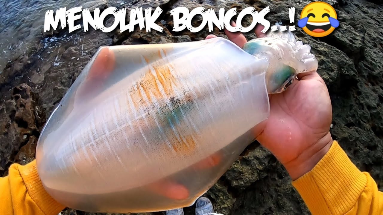 akhirnya"monsternya keluar..!😱 || mancing cumi