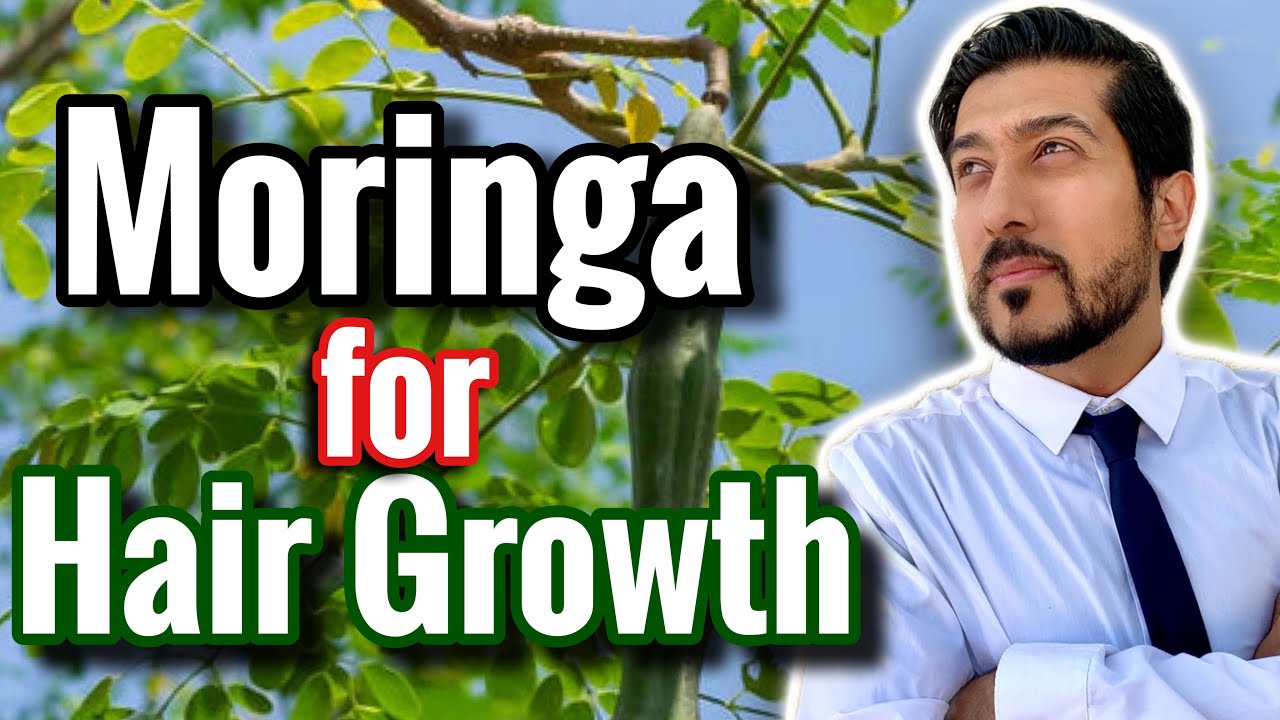 Moringa for Hair Growth | How to Grow Hair Back USING MORINGA