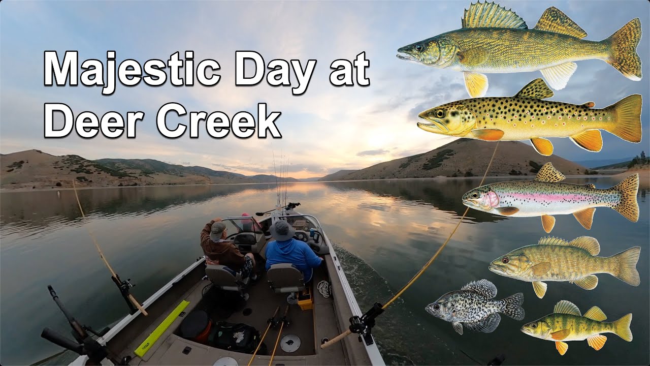 6 different species at Deer Creek