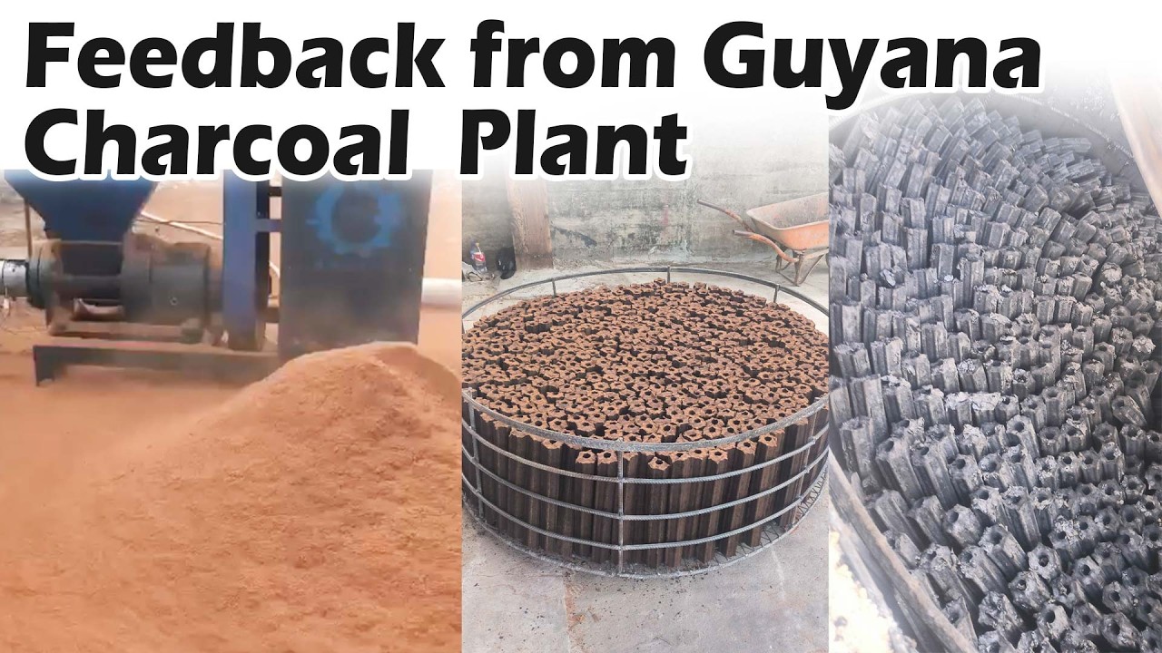 Guyana Sawdust Charcoal Plant Feedback 🔥 Full Charcoal Production Line Working Well!