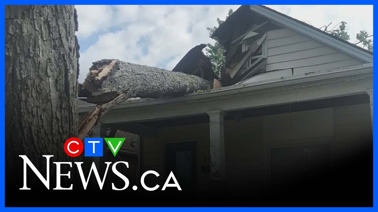Weekend storm damage in Windsor
