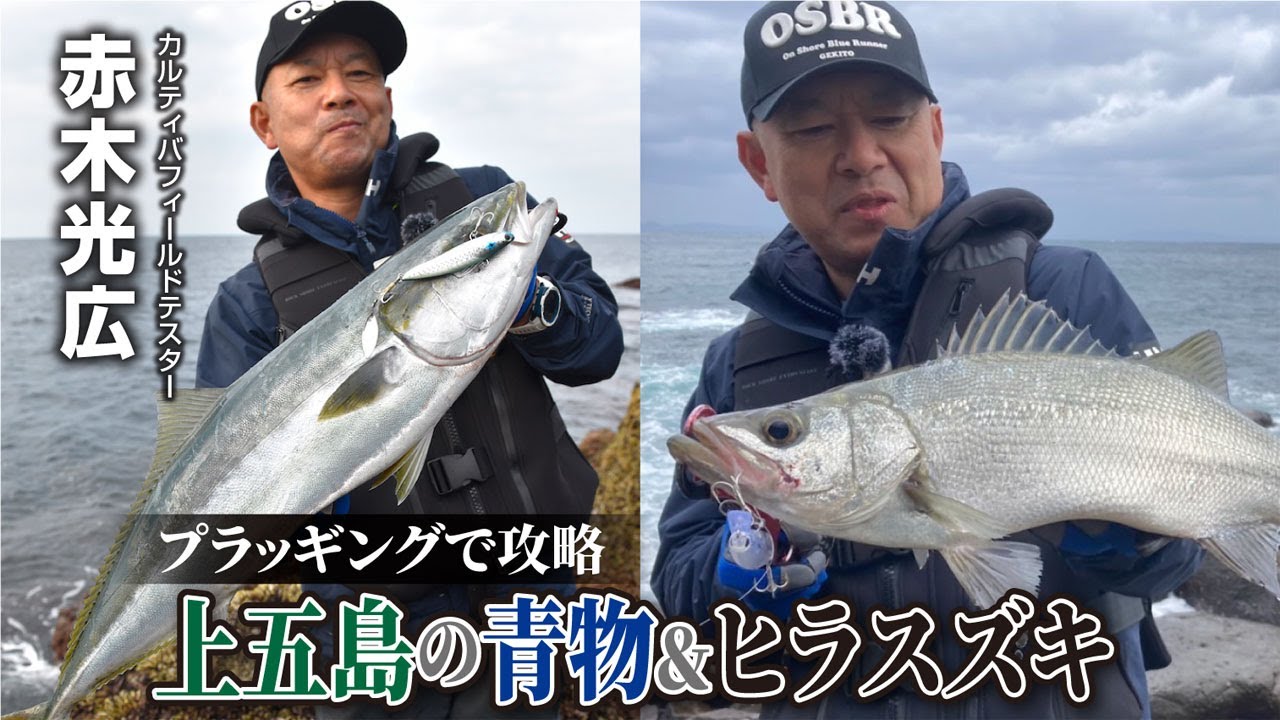 上五島の青物＆ヒラスズキ