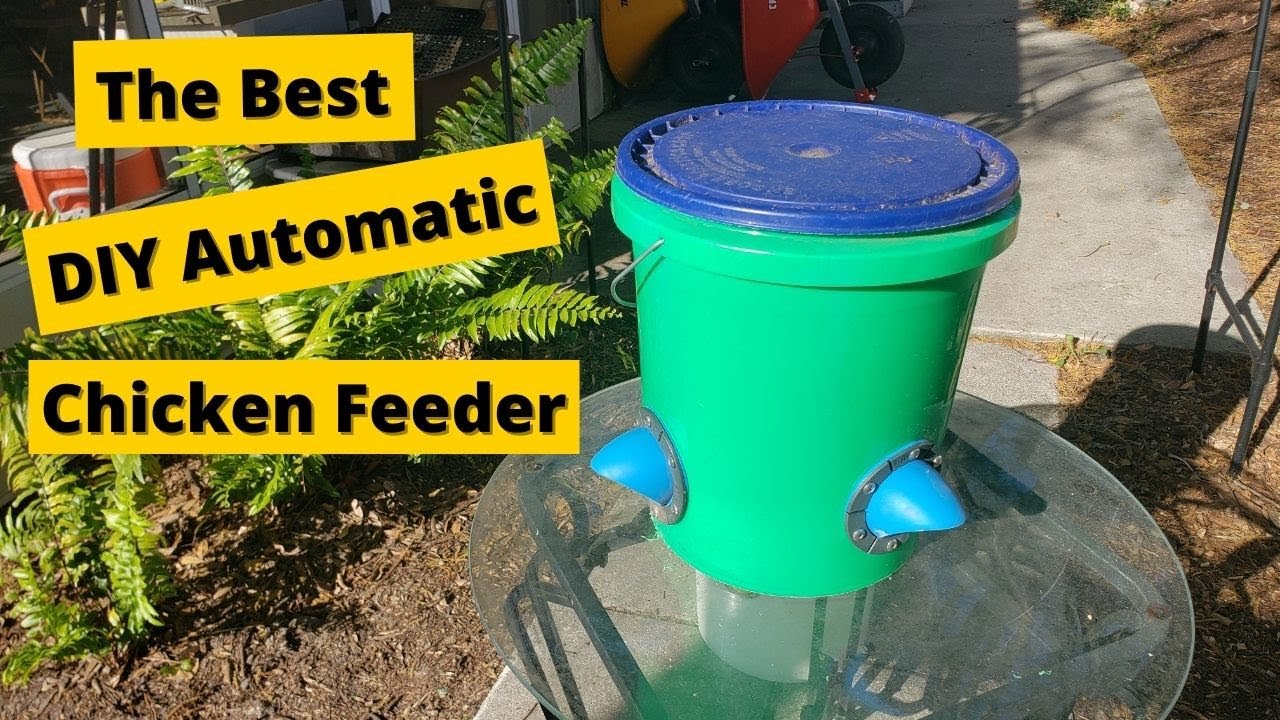 DIY Automatic Chicken Feeder: Quick, Clean and Efficient