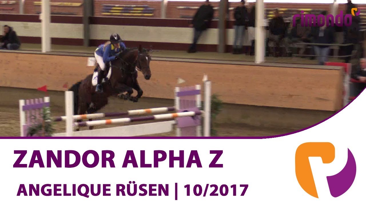 Zandor Alpha Z | Alt-Marl 2017