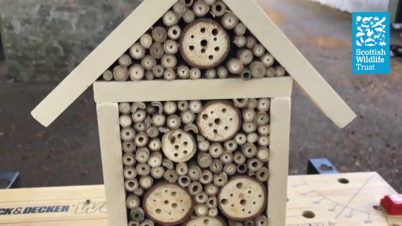 How to build a bee hotel
