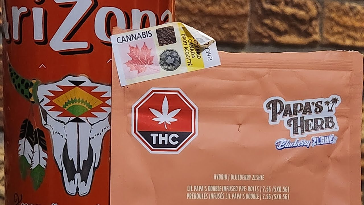BLUEBERRY ZLSHIE BY PAPAS HERB REVIEW THIS ONE TAKES ME BACK TO THE GOOD OLE DAYS