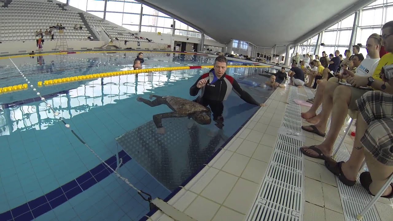 6'01 static apnea by Boris Milosic (16)