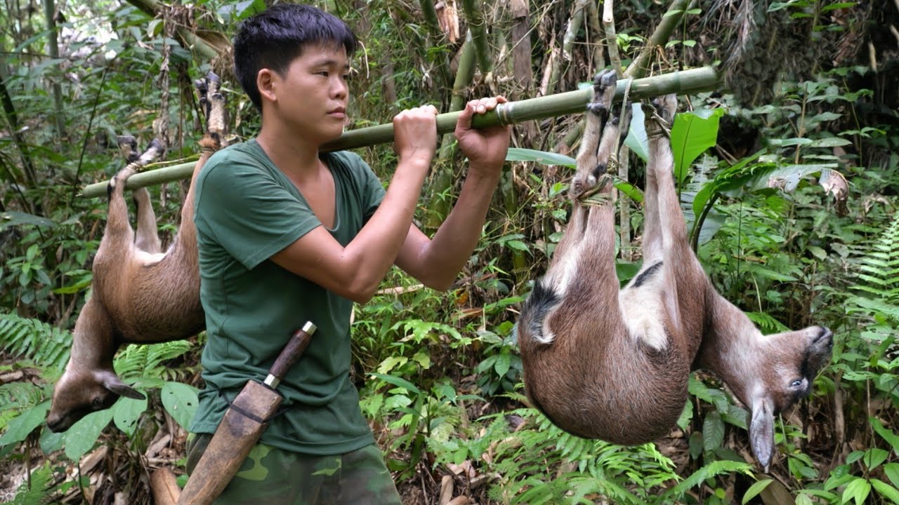 Survival in the wild, wild goat traces, traps to catch, bring wild goats to sell, survival skills