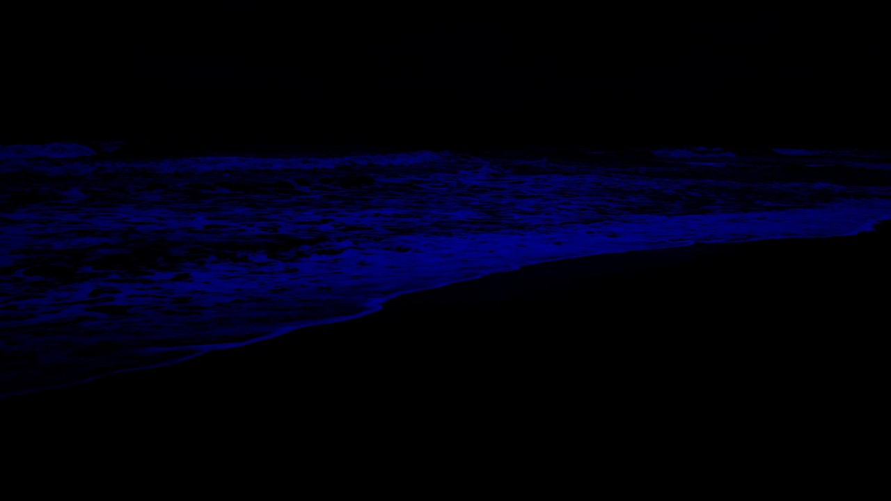 Sem anúncios. Ondas do oceano para acalmar a mente e parar de pensar demais - Os melhores sons para