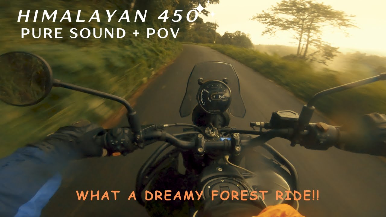 Wild dreamy ride through forest! | Himalayan 45O | Pure Sound | POV |