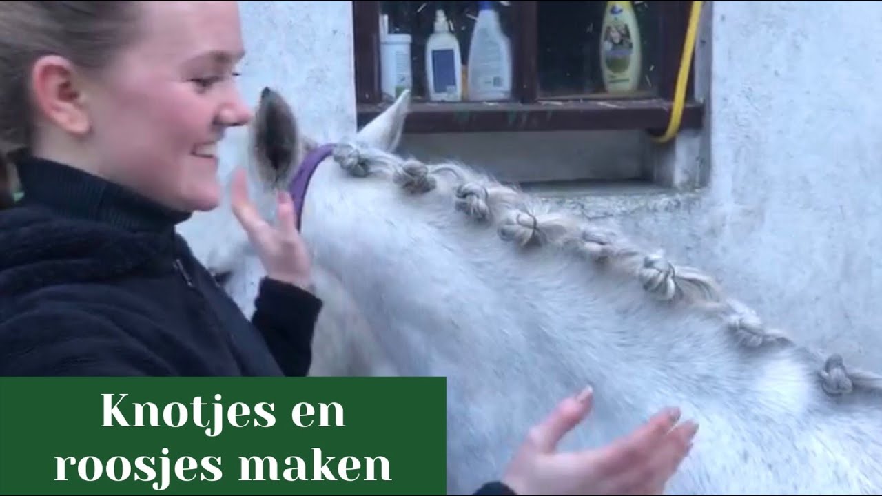 VLECHTEN | Knotjes en roosjes maken #ponymanegeequito #vlechten