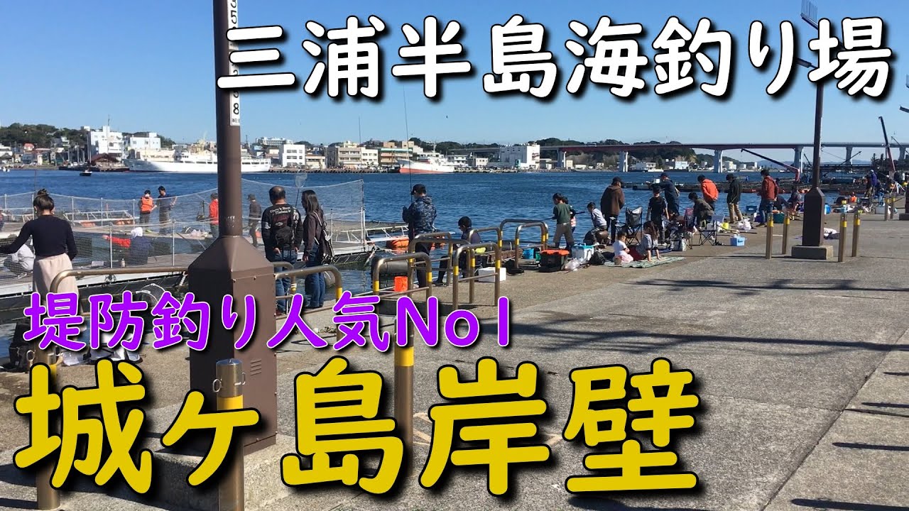 神奈川堤防釣り場 三浦半島 城ヶ島岸壁 堤防釣り サビキ釣り ちょい投げ釣り エギング アジング マダイ シマアジ メジナ カサゴ アオリイカ ワラサ ブリ MANCING MANIA JAPAN