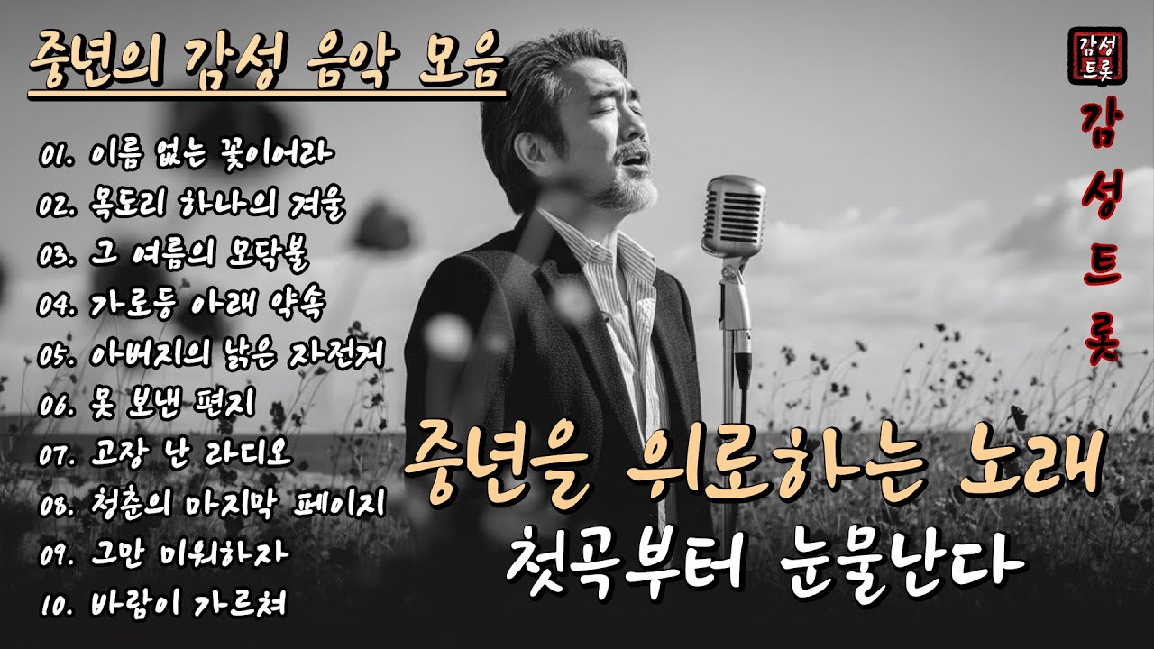 첫곡부터 눈물난다🍂 | 들으면 눈물 나는 중년 감성 트로트 10곡 (2편) 🎵 | 중년을 위로하는 노래 #감성트롯 #중년음악 #7080음악