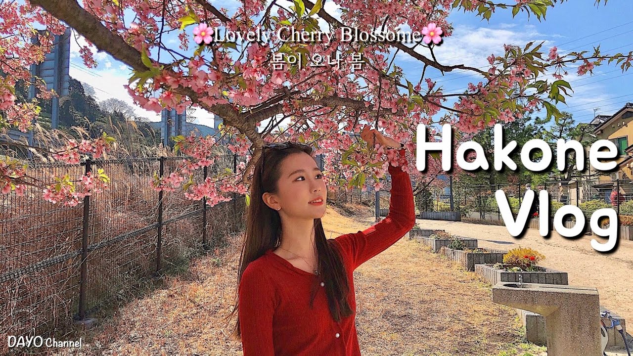 일본 브이로그/봄맞이 벚꽃구경/하코네 프라이빗리조트/140년전통 후지야호텔 라운지바/웨이팅 장어덮밥/오와쿠다니 흑계란/카이센동/한일부부/다요부부/한일커플/봄맞이(箱根、富士屋ホテル)