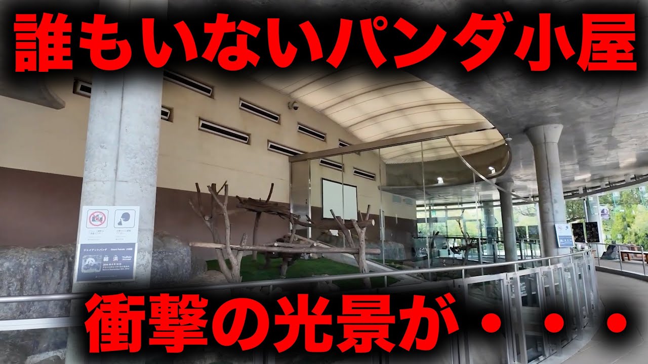 【和歌山の現実】パンダ返還後のアドベンチャーワールドが想像以上だった