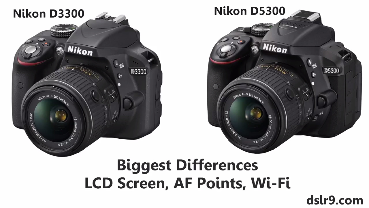 Nikon D3300 vs D5300 Comparison (Hindi)