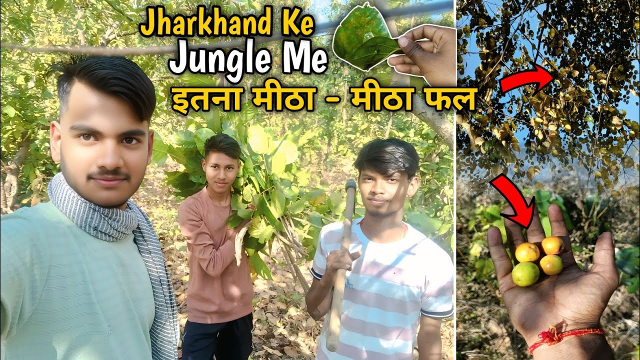 Ajh Gye Jungle Me  फल और दातून Dhudhane 😱 #jungle 
