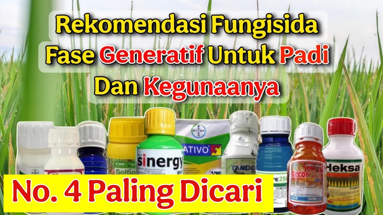 Rekomendasi Fungisida Fase Generatif Untuk Padi❗Nomor 4 Paling Dicari Bikin Gabah Kinclong