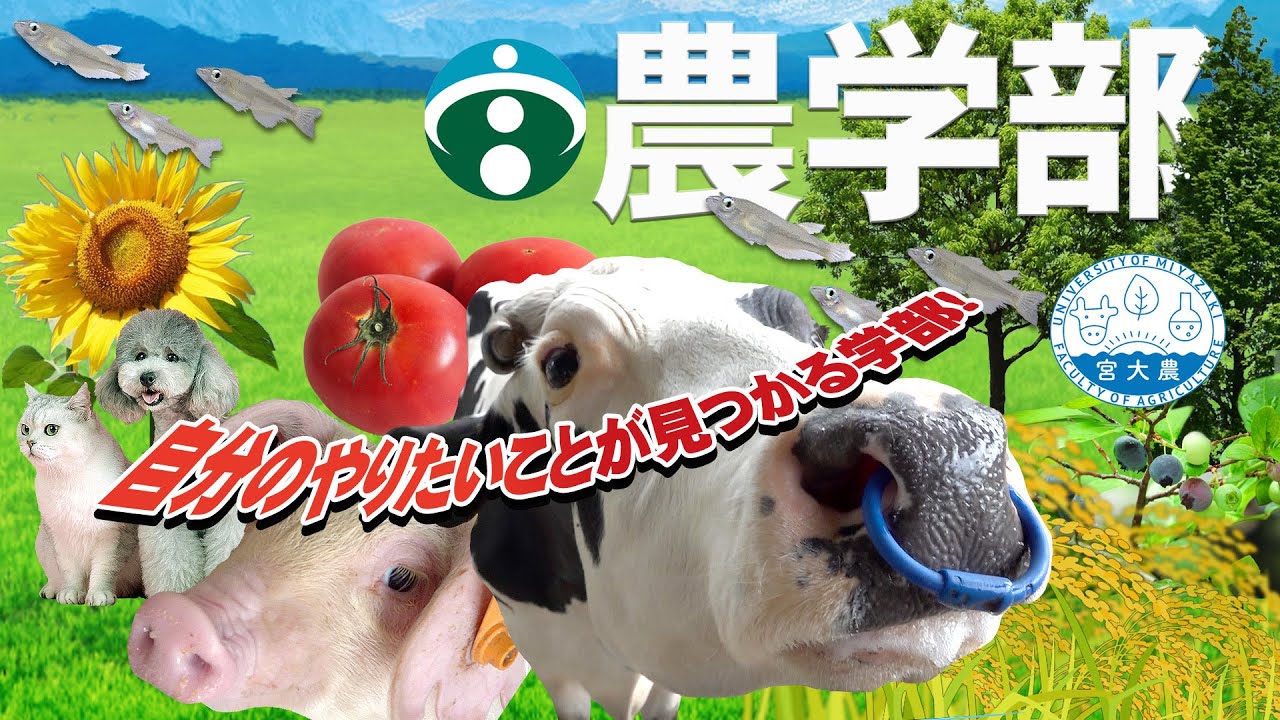 【自分のやりたいことが見つかる学部】宮崎大学農学部
