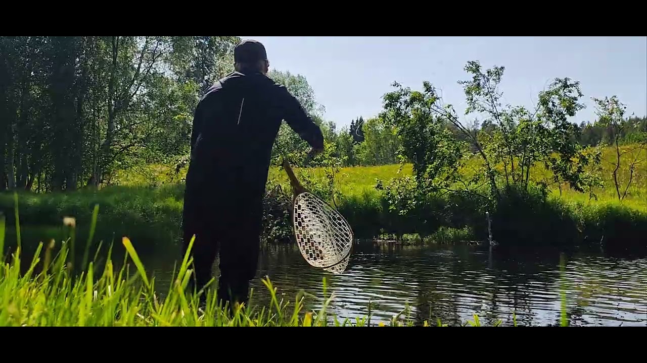 Midsommar vid bäcken.