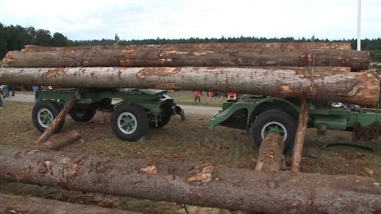 Holzstämme verladen anno dazumal mit Hans Bächli (Hochdeutsch)