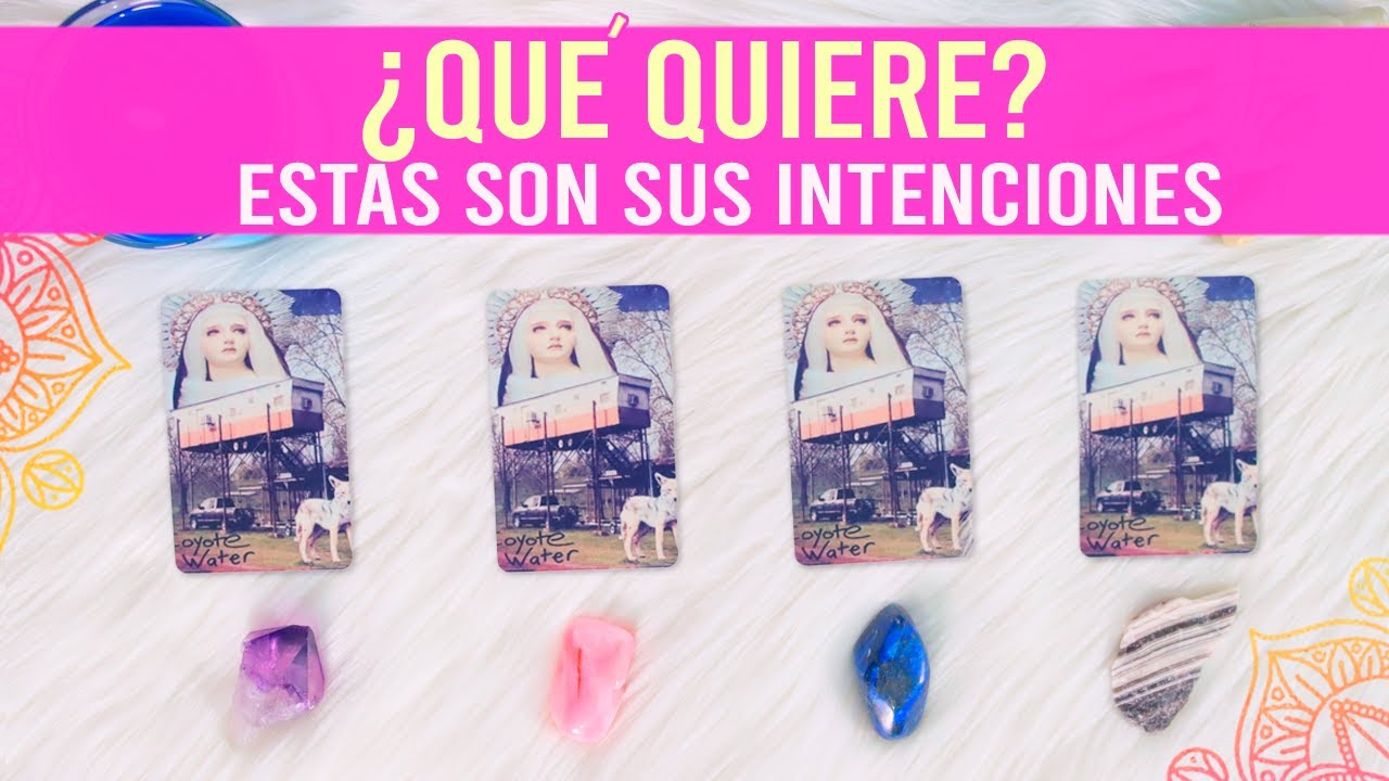¿Qué quiere?¿Cuáles son sus intenciones contigo? - Tarot interactivo 🔮✨