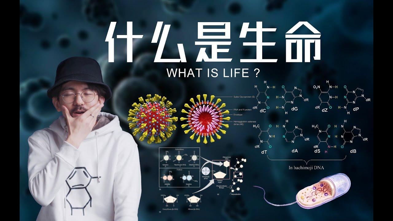 人类和病毒谁才是进化的顶峰？带你重新理解生命 What is life？
