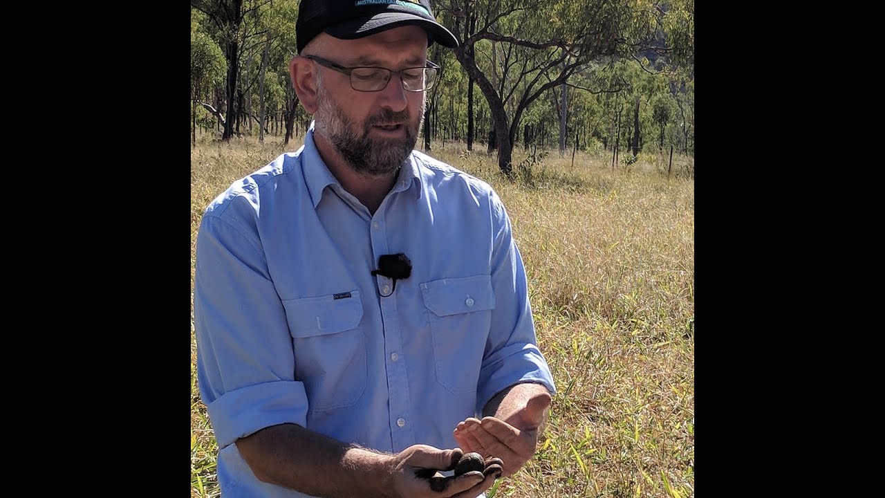 Aluminium in soils with VicNoTill