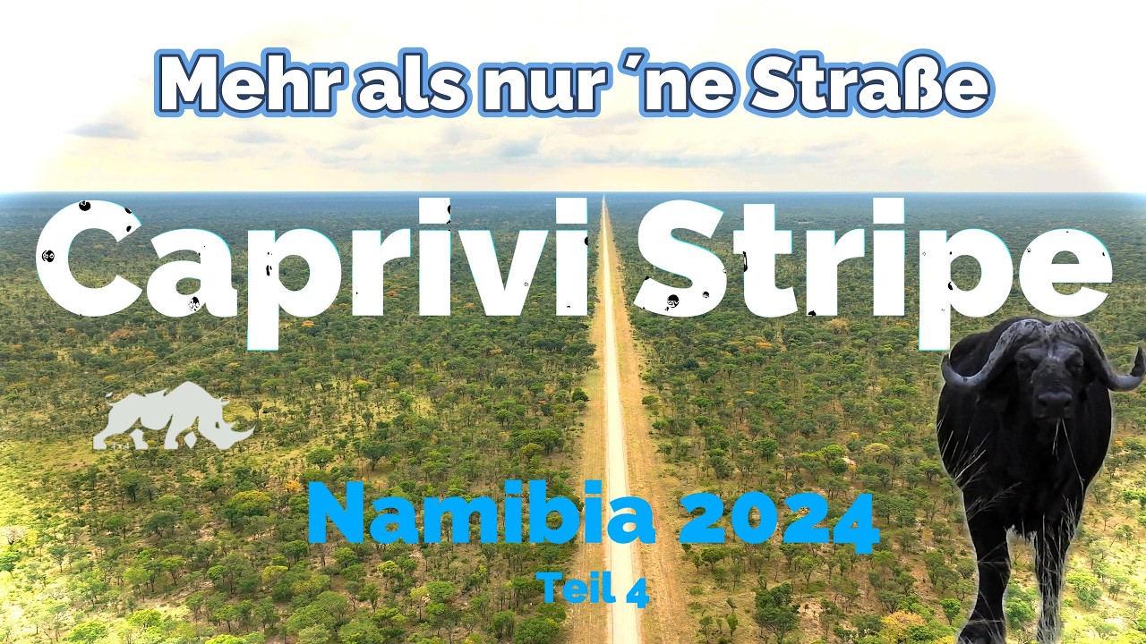 NamBoZi 2024 #4 - Elefant verfolgt uns und Büffel versperrt den Weg im Caprivi