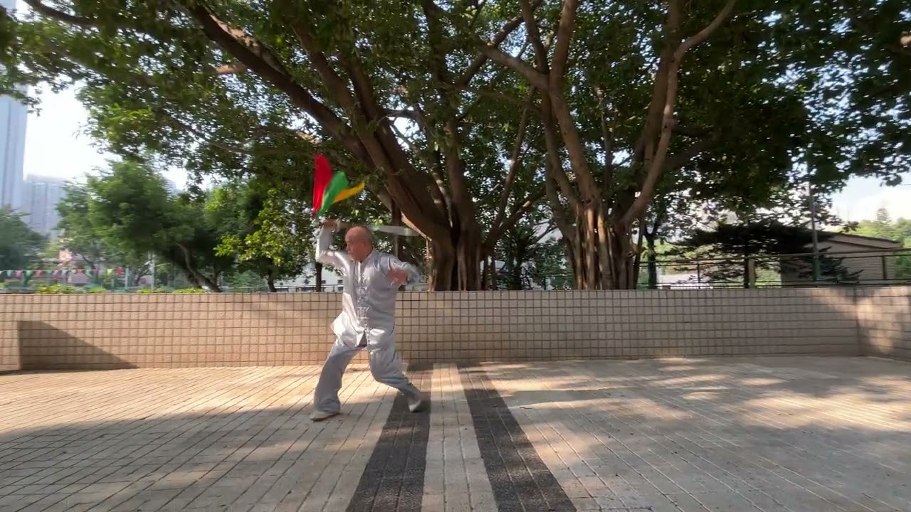 陈式单刀2024 12