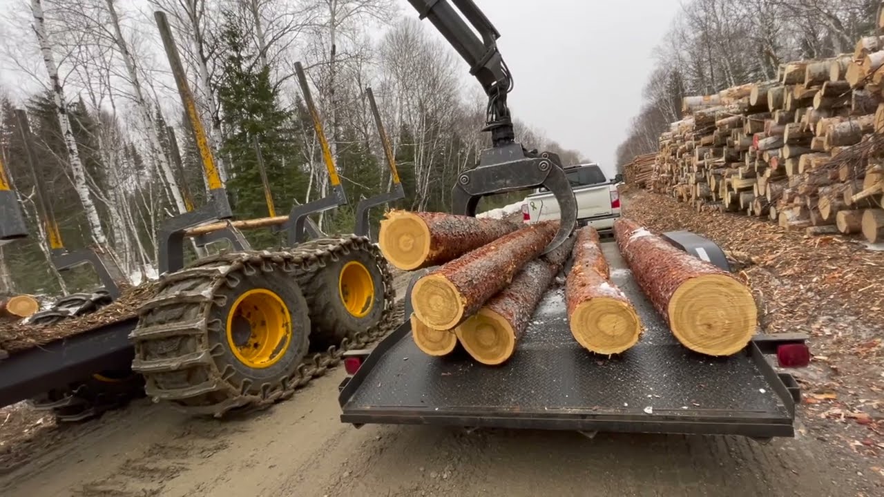 Rottne F15 forwarder & Kubota LX More Tamarack: Getting Logs Cay Style, #forestry