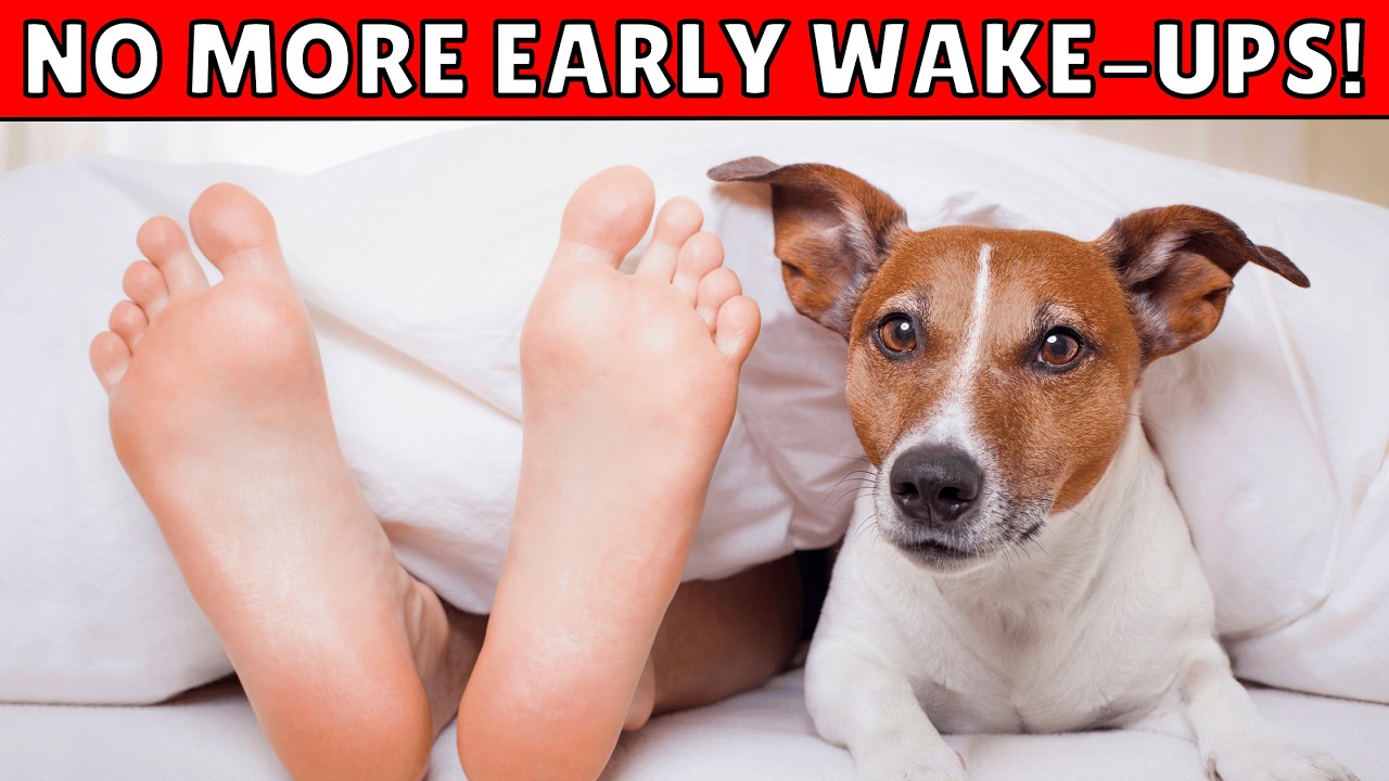 5 Ways to Stop Your Dog From Waking You Up Early