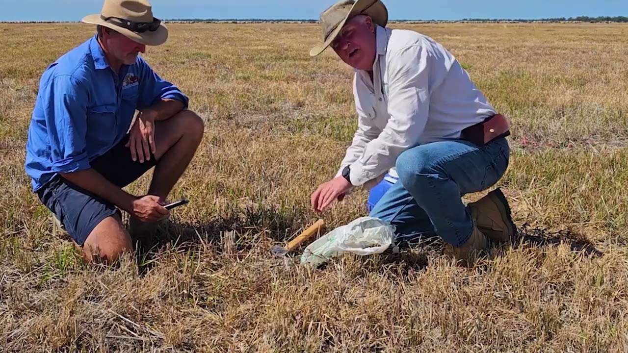 Achieving Rapid Rainfall Absorption: A Water Infiltration Test Demonstration