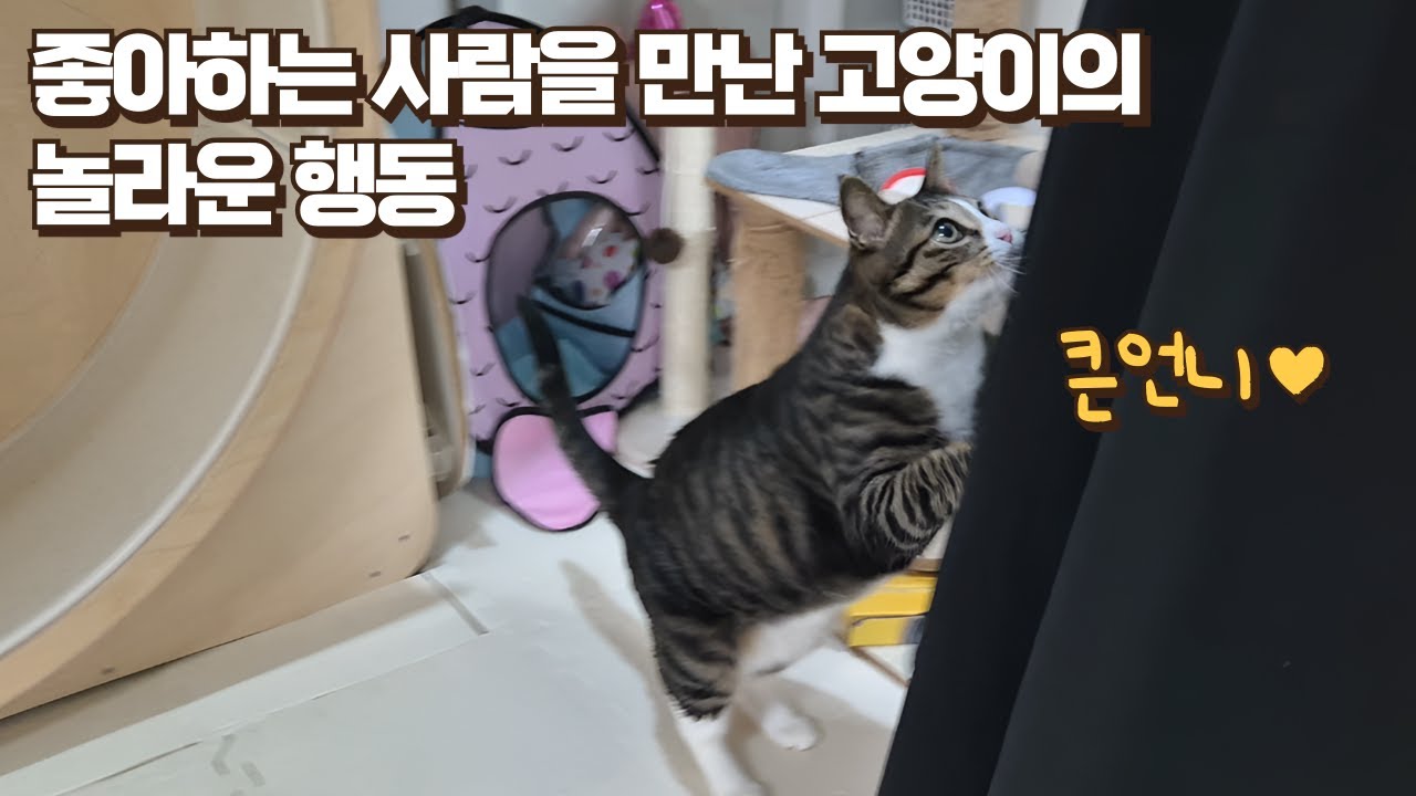 큰언니 보고 싶어서 엉엉 울었는데 눈앞에 나타나자 보름이가 보인 놀라운 행동!