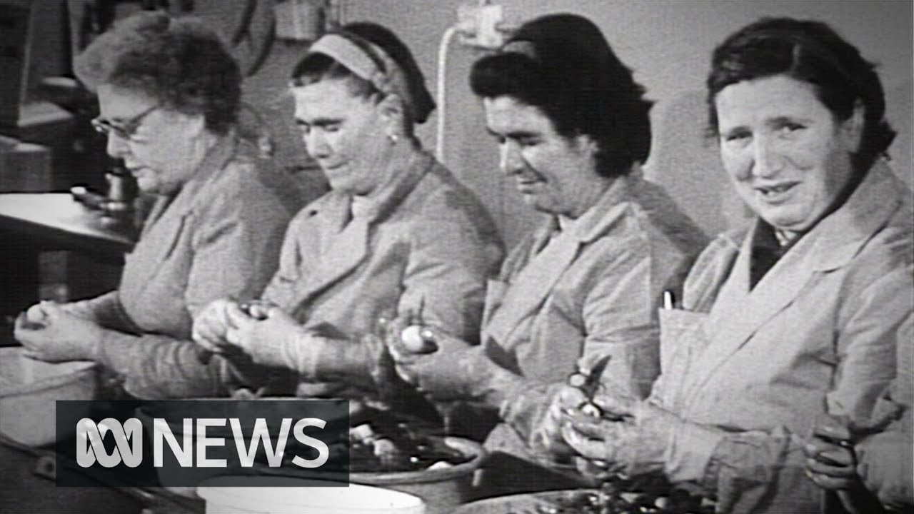 Onion peelers replaced by machines (1969) | RetroFocus