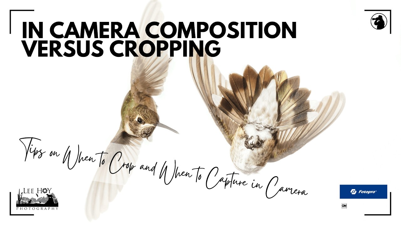 In Camera Composition Versus Cropping Your Images for Composition