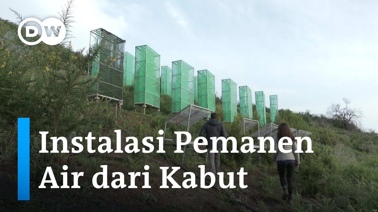 Menangkap Kabut untuk Penuhi Kebutuhan Air | DW Inovator