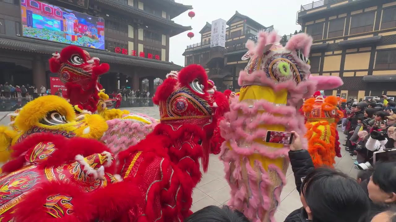 元宵节｜中国河北传统民间艺术演出｜舞狮｜河北秧歌｜少年武术｜非遗艺术上刀山