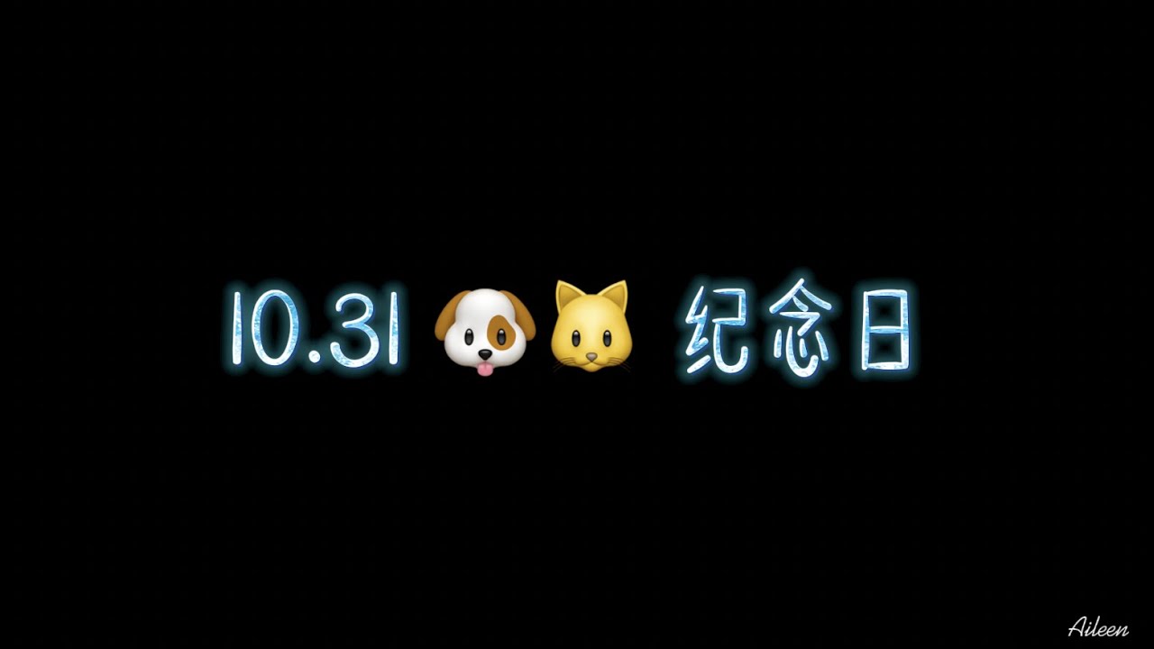 10.31 🐶🐱 纪念日   南京一夜复盘