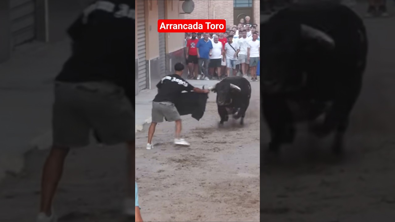 Arrancada Toro Bravo #toros Gerardo Ortega