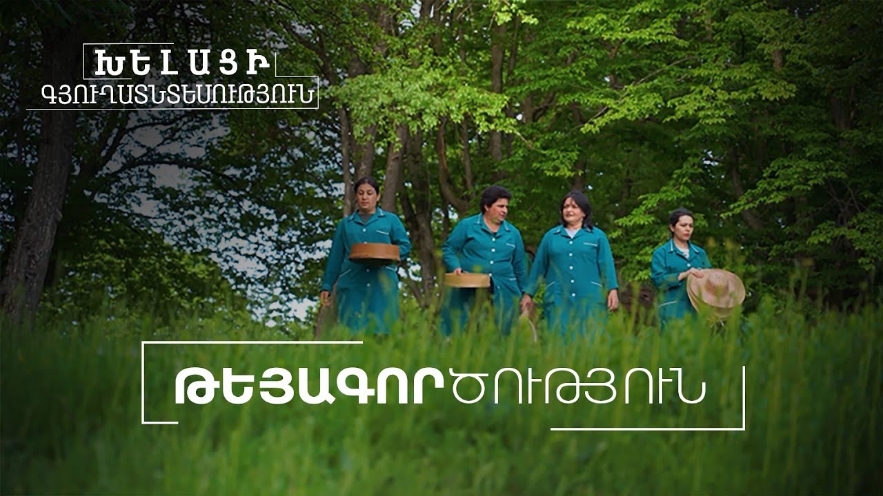Խելացի գյուղատնտեսություն. Թեյագործություն