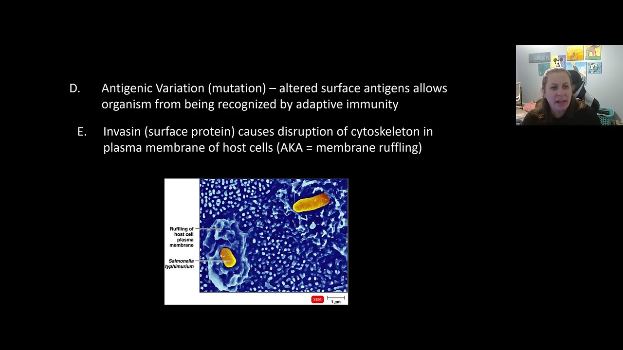 Microbial Mechanisms of Pathogenicity