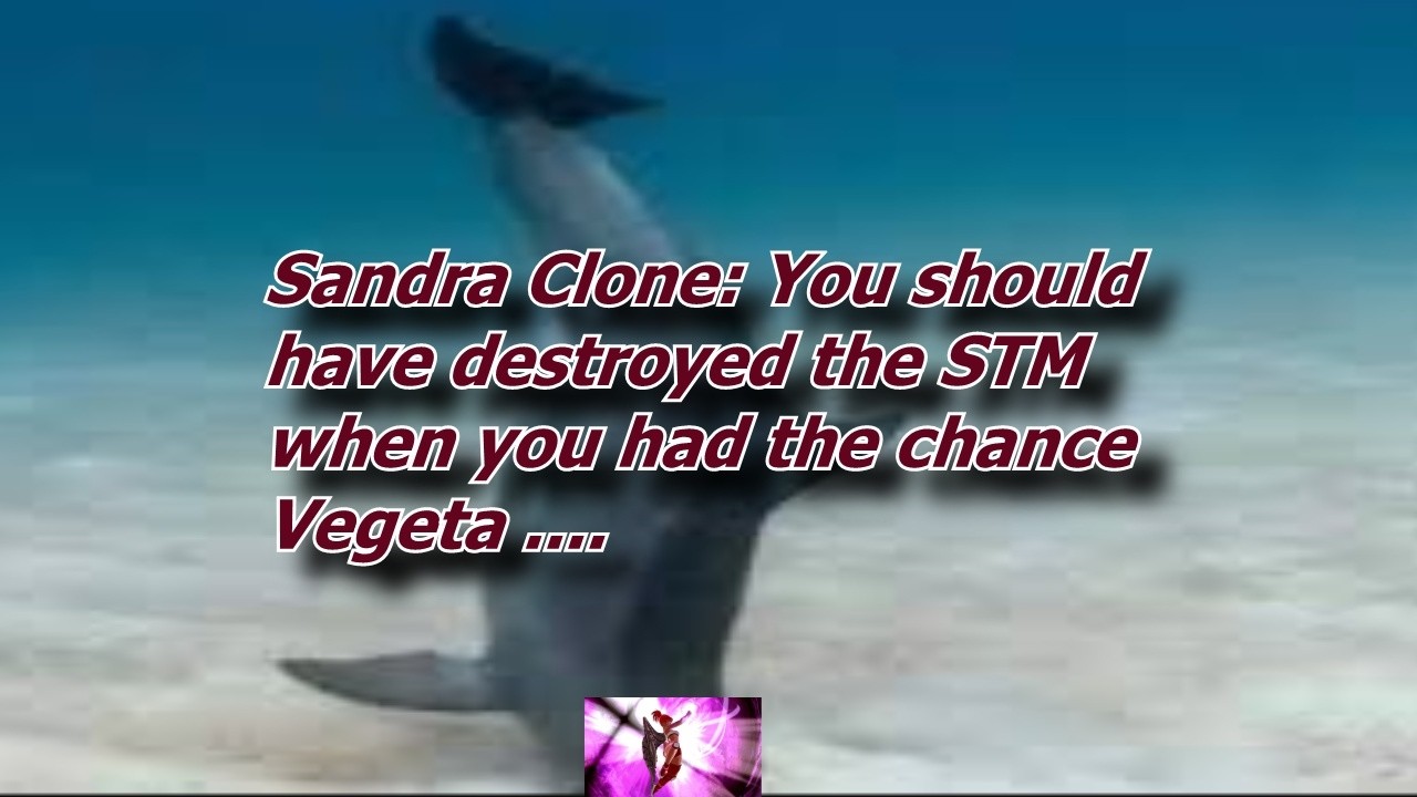 Dragon Ball The Breakers PC Steam Eternal Season 9  You should have destroyed the STM  Vegeta  LOL.
