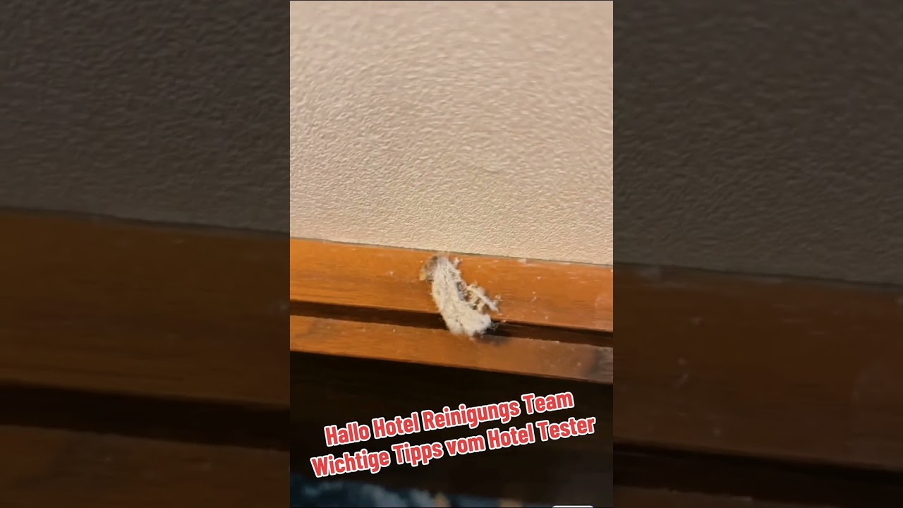 This is how you recognize good Hotel Housekeeping (English) The Hotel Inspector #hotelinspector