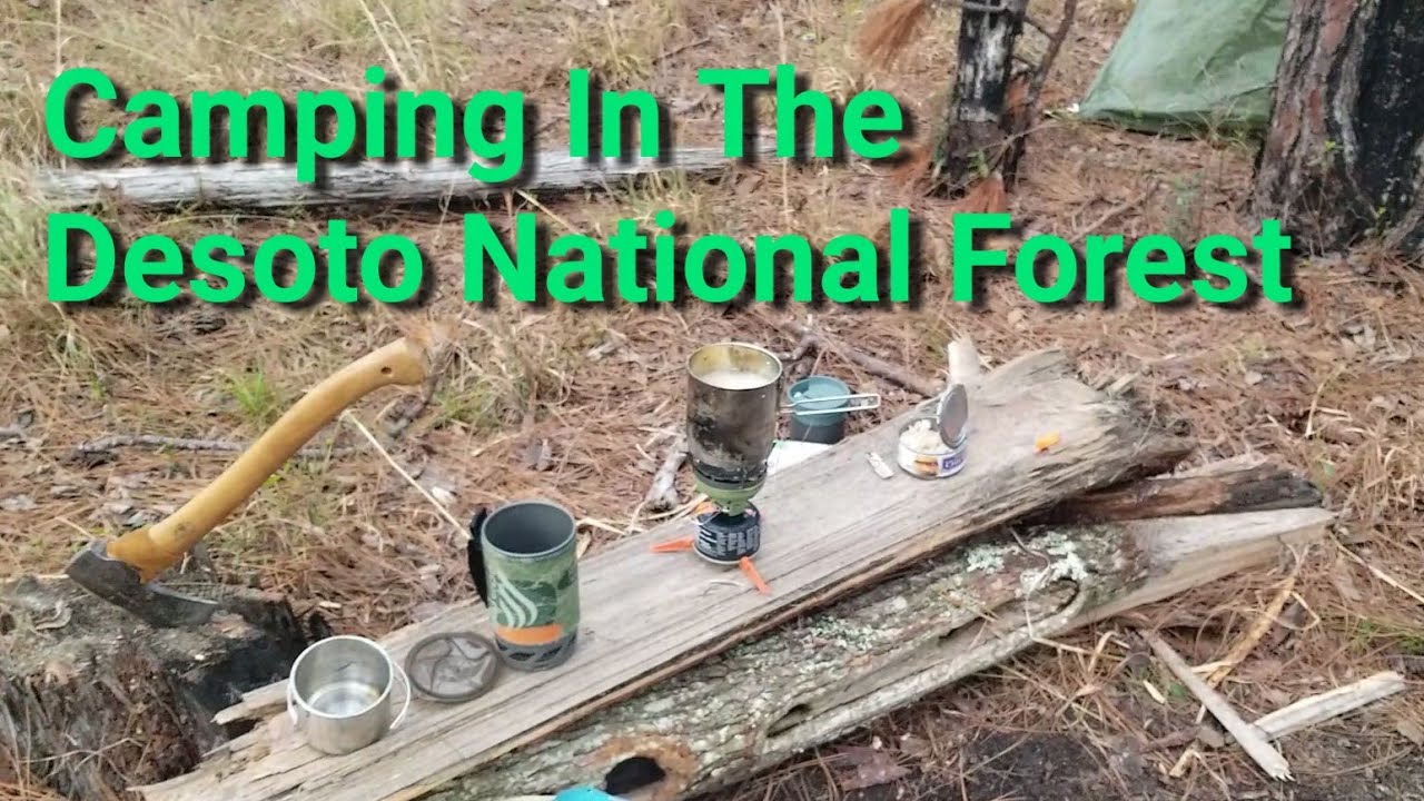 Wild Camping In The Desoto National Forest - Tuxachanie Trail - Mississippi