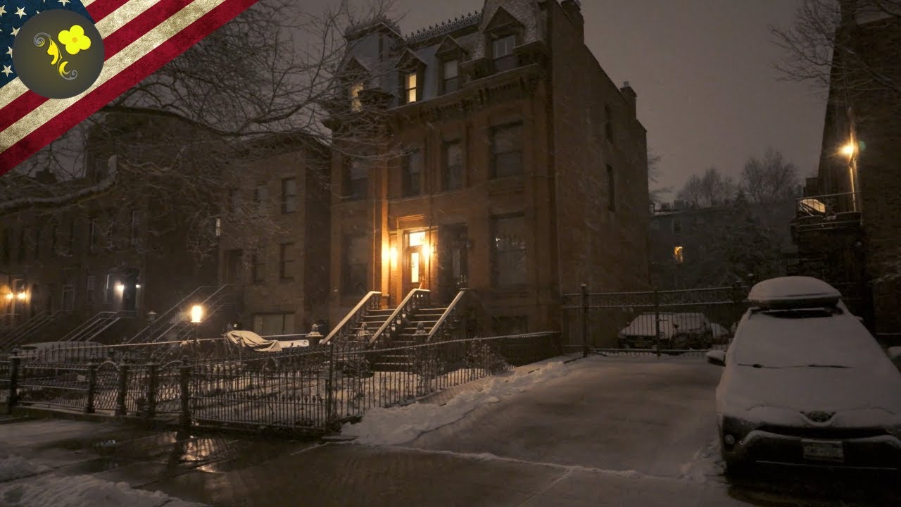 ❄️🌨️ Snowy Carroll Gardens, Brooklyn: 4K Winter Walking Tour in NYC 🏙️✨